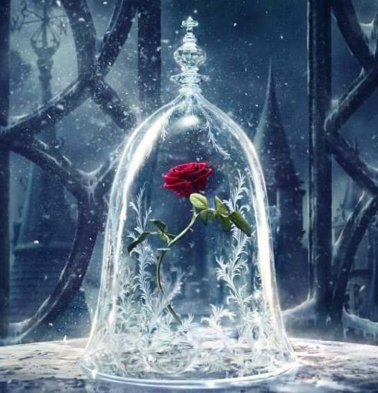 Rose from Beauty and the Beast